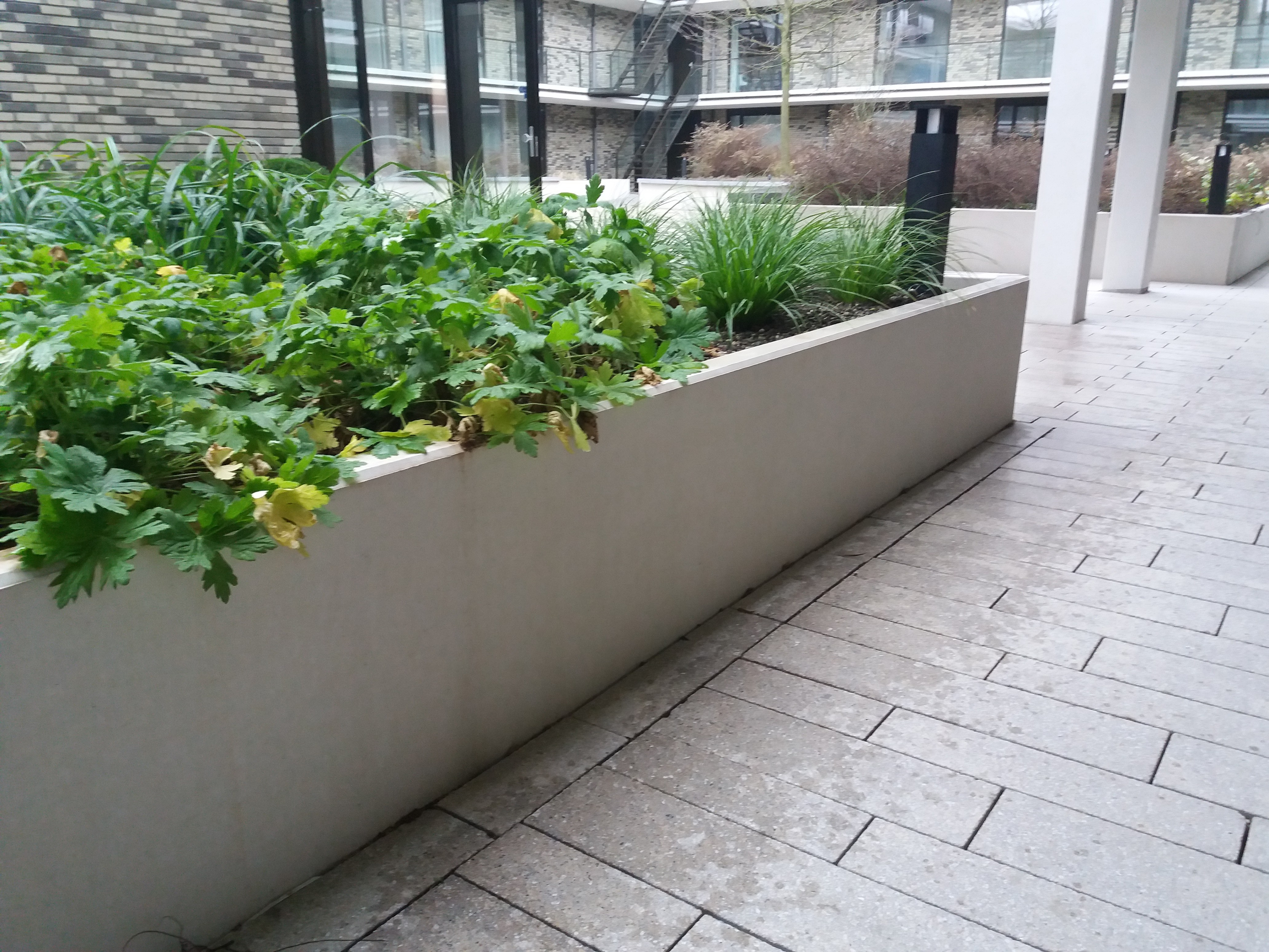Keerwand gladde afwerking (2)