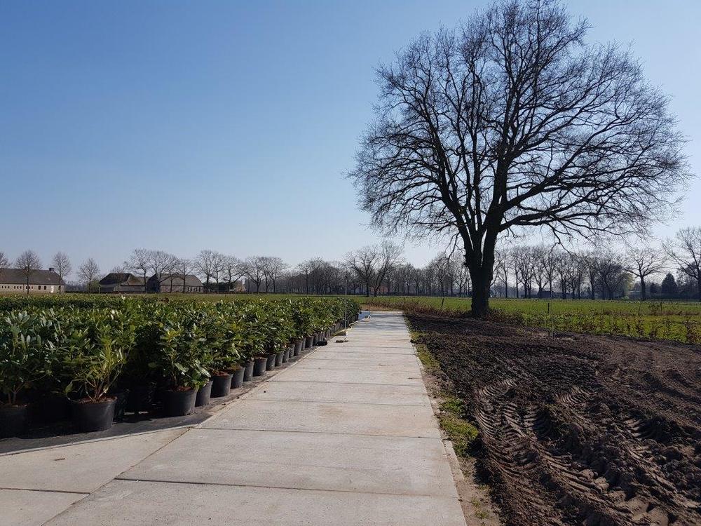 Kemper Beton - Erfverhardingsplaten