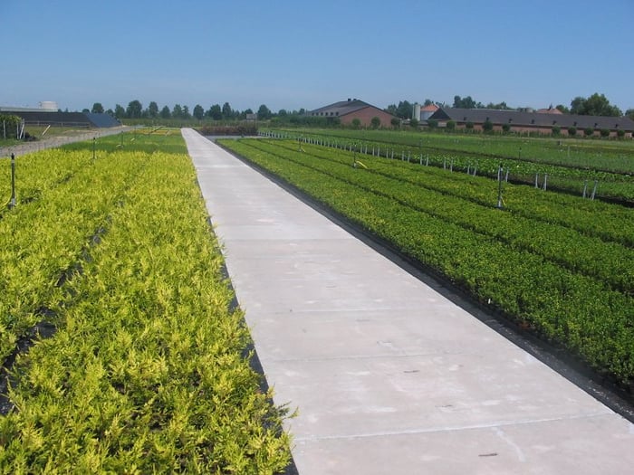 Land- en tuinbouw