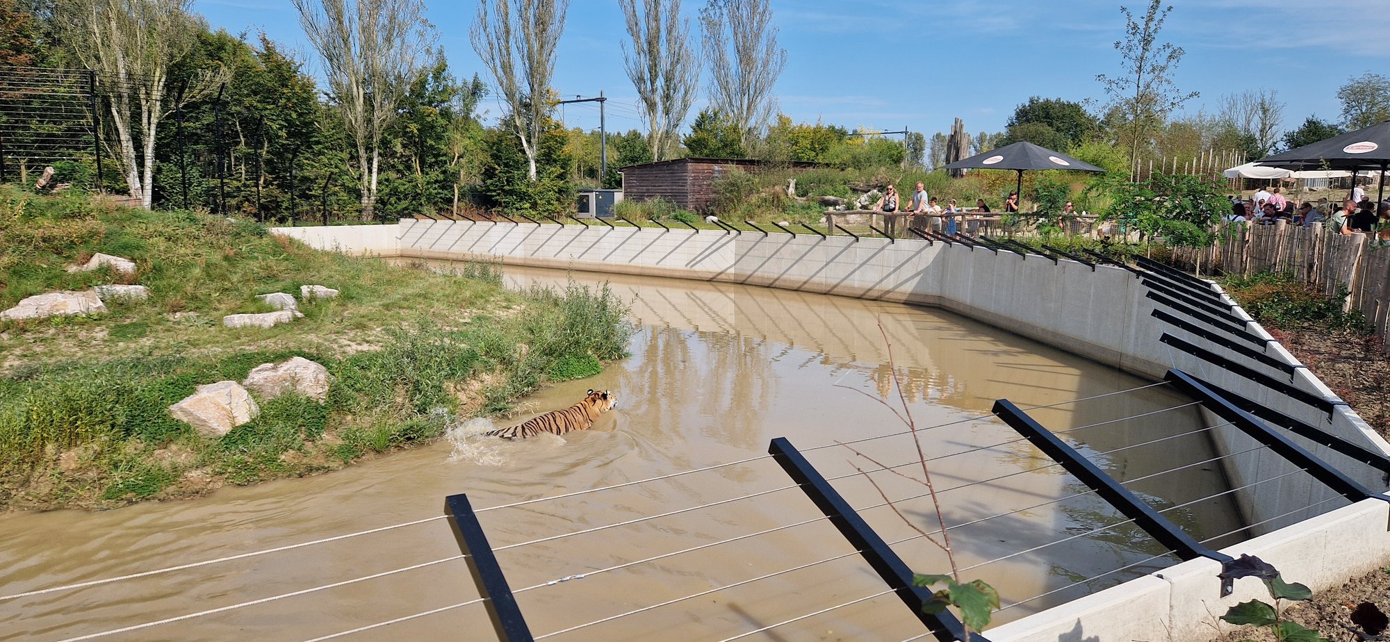 Kemper Beton Eindhoven Zoo 1