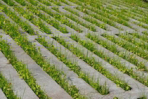 Waterpasserende betontegels