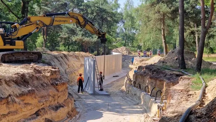 Keerwanden Kemper Beton voor natuurlijke afscheiding tussen bezoekers en cheeta’s in Beekse Bergen
