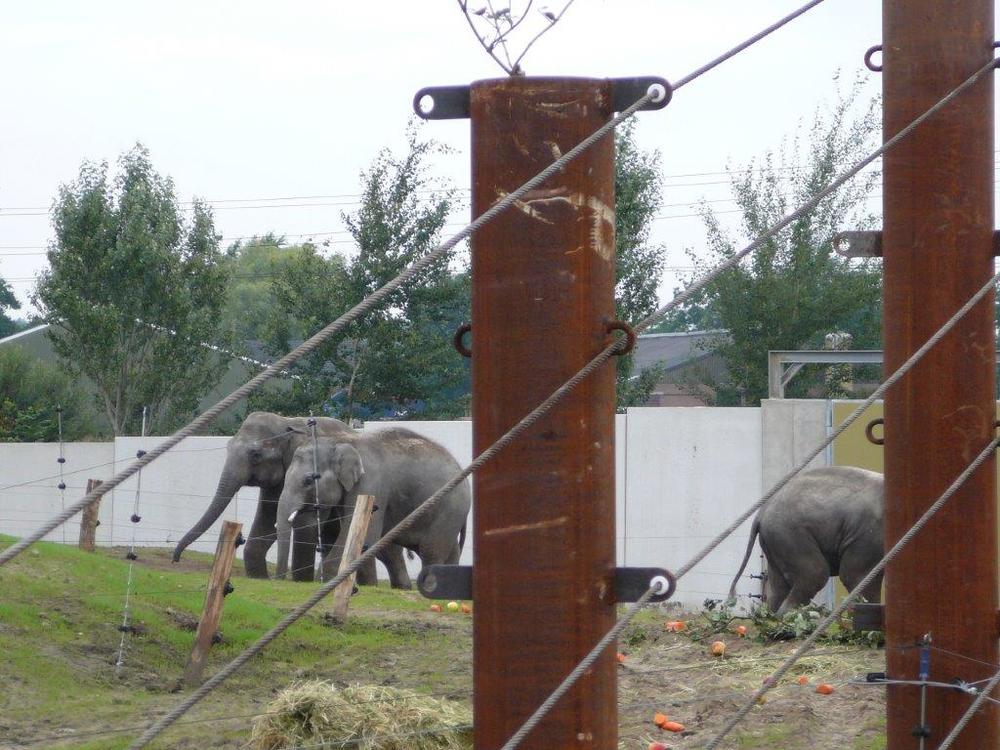 Keerwanden_van_Kemper_voor_olifanten-_en_apenverblijf_Dierenrijk_Nuenen_18