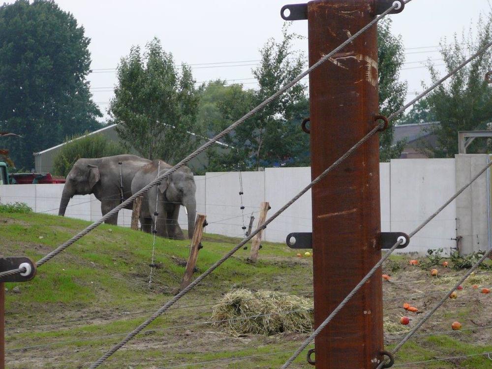 Keerwanden_van_Kemper_voor_olifanten-_en_apenverblijf_Dierenrijk_Nuenen_19_1