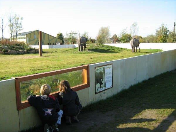 Keerwanden_van_Kemper_voor_olifanten-_en_apenverblijf_Dierenrijk_Nuenen_4