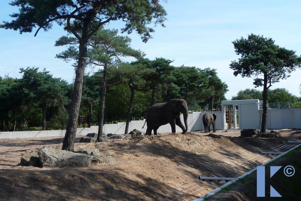 Safaripark_Beekse_Bergen_27_1