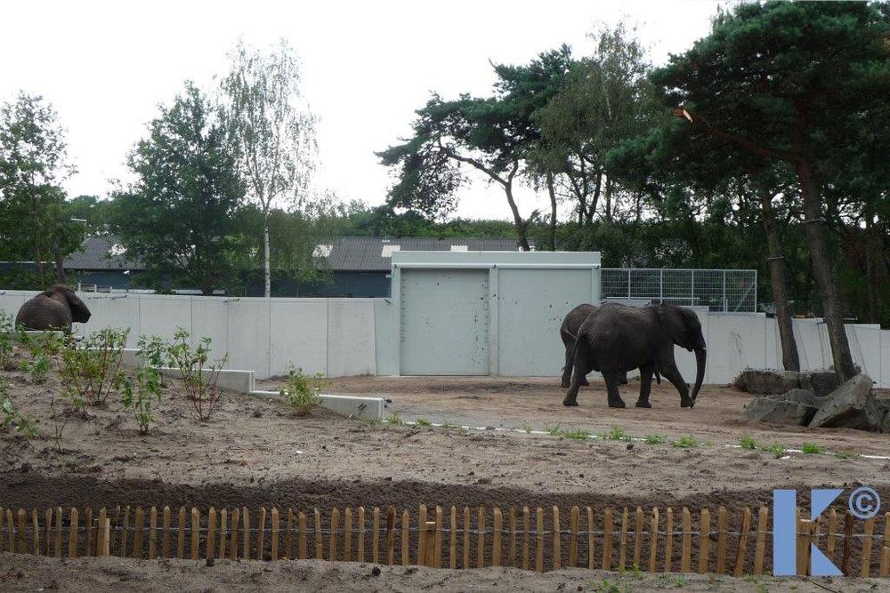 Safaripark_Beekse_Bergen_29